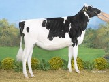 Kamp Pinken, Topcross Anna 285, Unix, Mts J en I Jacobi  Garyp